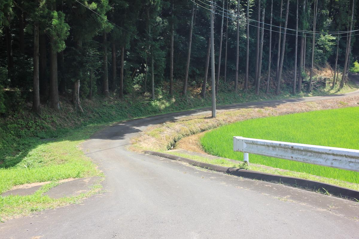 千葉県香取市白井の売買物件/物件へと続く、道の入り口。この左手に古井戸があります