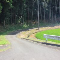 千葉県香取市白井の売買物件/物件へと続く、道の入り口。この左手に古井戸があります