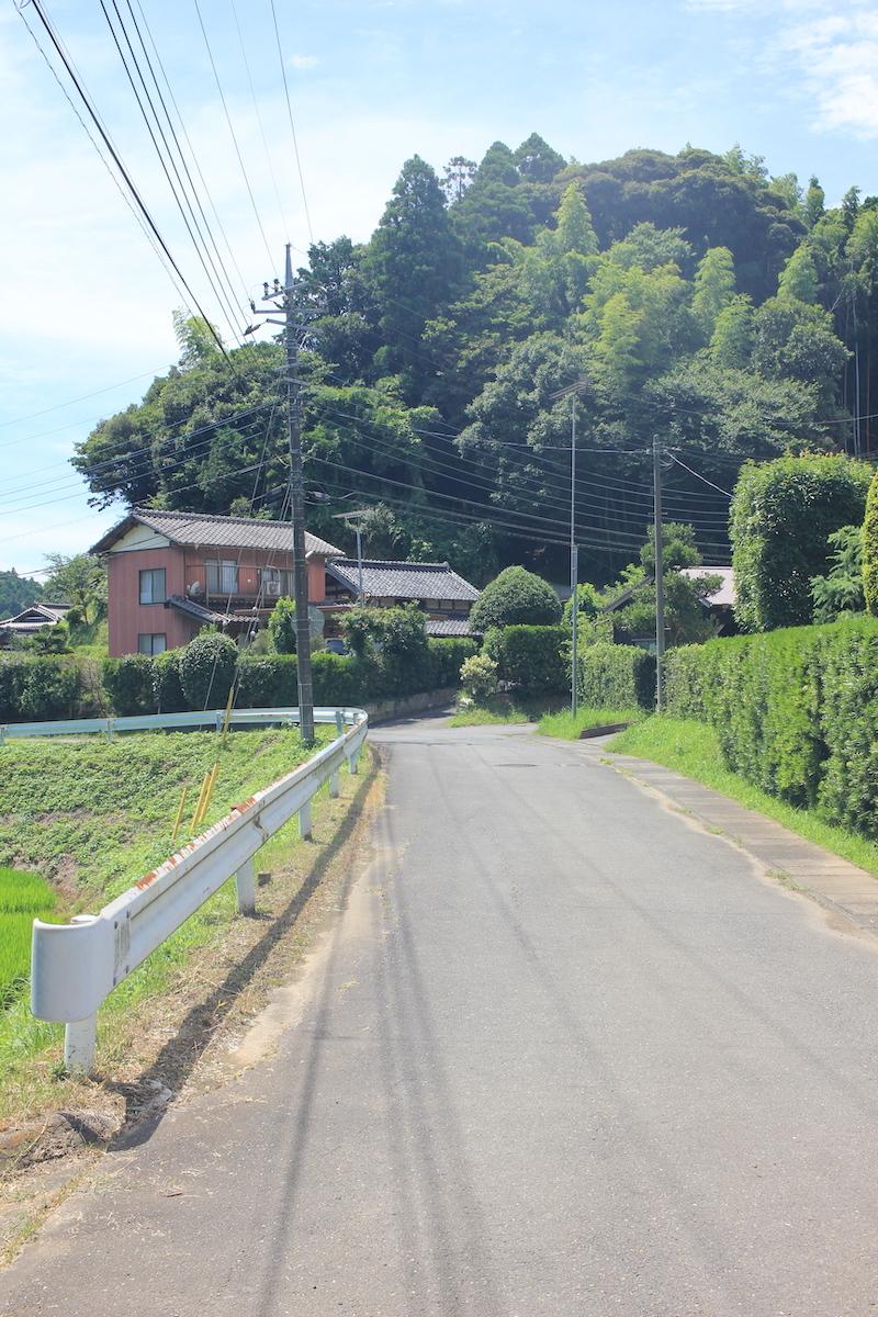 千葉県香取市白井の売買物件/左が物件へと続く、道の入り口