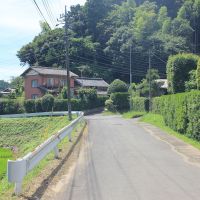 千葉県香取市白井の売買物件/左が物件へと続く、道の入り口