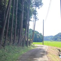 千葉県香取市白井の売買物件/物件へと続く道。左側が物件外周