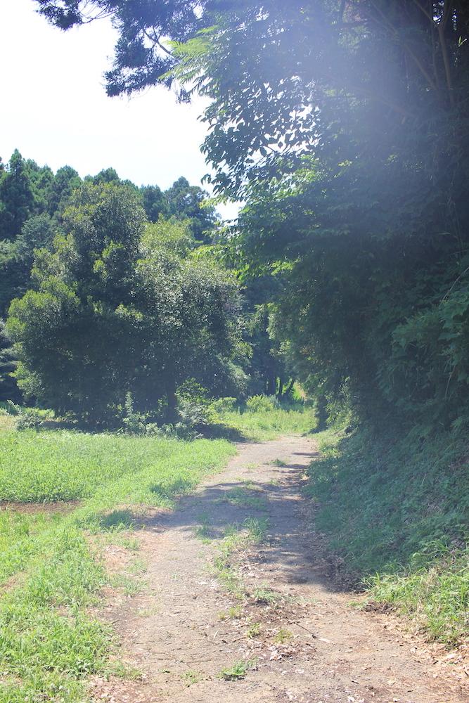 千葉県香取市白井の売買物件/物件のスロープ入り口から手前側の様子。