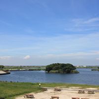 千葉県香取市白井の売買物件/水郷のすぐ先には一級河川、利根川が。