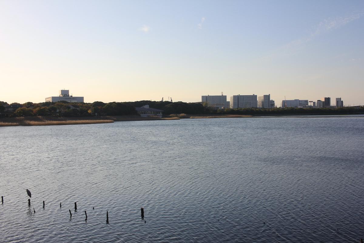 千葉県習志野市谷津町の売買物件/少し歩けば谷津のシンボル、干潟が広がる