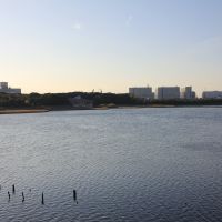 千葉県習志野市谷津町の売買物件/少し歩けば谷津のシンボル、干潟が広がる