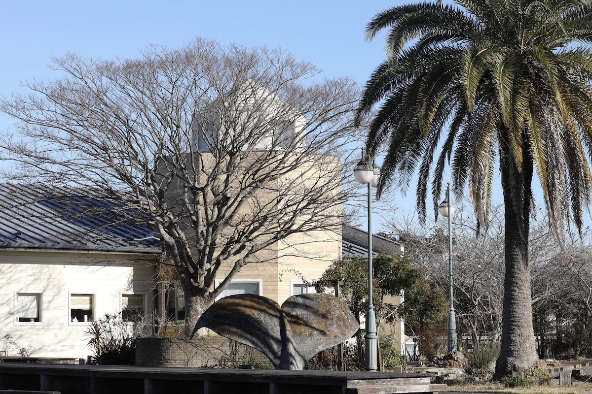 千葉県山武市松尾町木刀の賃貸物件/椰子の木の隣に大きなけやきの木。広葉樹のシンボルツリーがあると四季の移ろいがあり、訪れるたびに違う景色に
