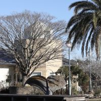 千葉県山武市松尾町木刀の賃貸物件/椰子の木の隣に大きなけやきの木。広葉樹のシンボルツリーがあると四季の移ろいがあり、訪れるたびに違う景色に