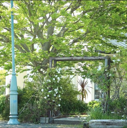 千葉県山武市松尾町木刀の賃貸物件/ミニガーデンへの入口