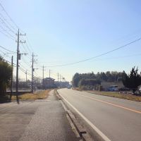 千葉県山武市松尾町木刀の賃貸物件/前面道路とても広く視界良しです