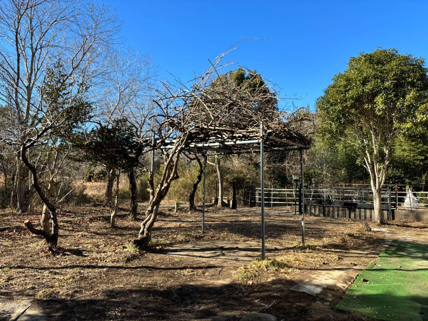 千葉県茂原市弓渡の賃貸物件/庭を建物奥側から。キウイの木の下でバーベキューもいいですね