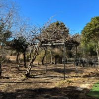 千葉県茂原市弓渡の賃貸物件/庭を建物奥側から。キウイの木の下でバーベキューもいいですね