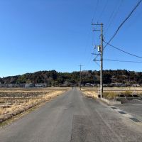 千葉県山武市姫島の賃貸物件/近くの田んぼ道