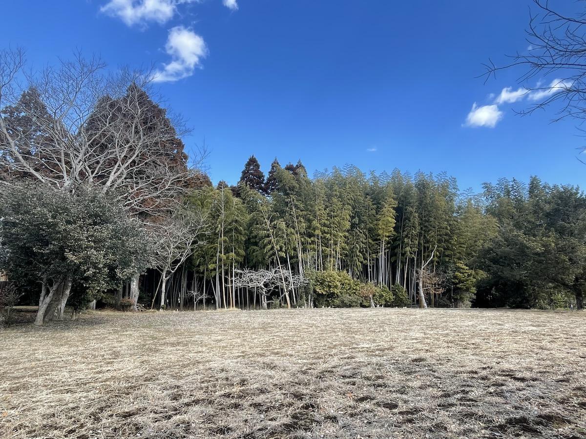 千葉県夷隅郡大多喜町三又の売買物件/とにかく広大な畑。土はふかふかの黒土でした！