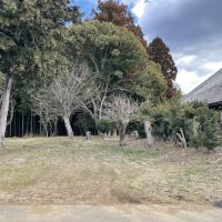 千葉県夷隅郡大多喜町三又の売買物件/母屋裏手には車数台が置けるスペースも