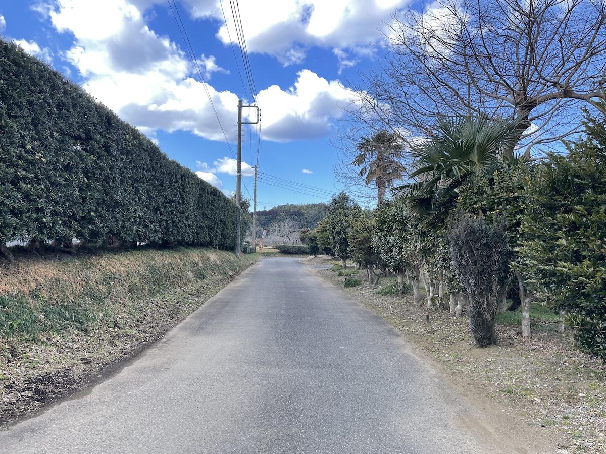 千葉県夷隅郡大多喜町三又の売買物件/敷地正面の道路の様子。幅員は４mほど