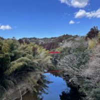 千葉県夷隅郡大多喜町三又の売買物件/物件の裏手の川には真っ赤な鉄橋が。ここは黄色い電車との対比が映えるらしい