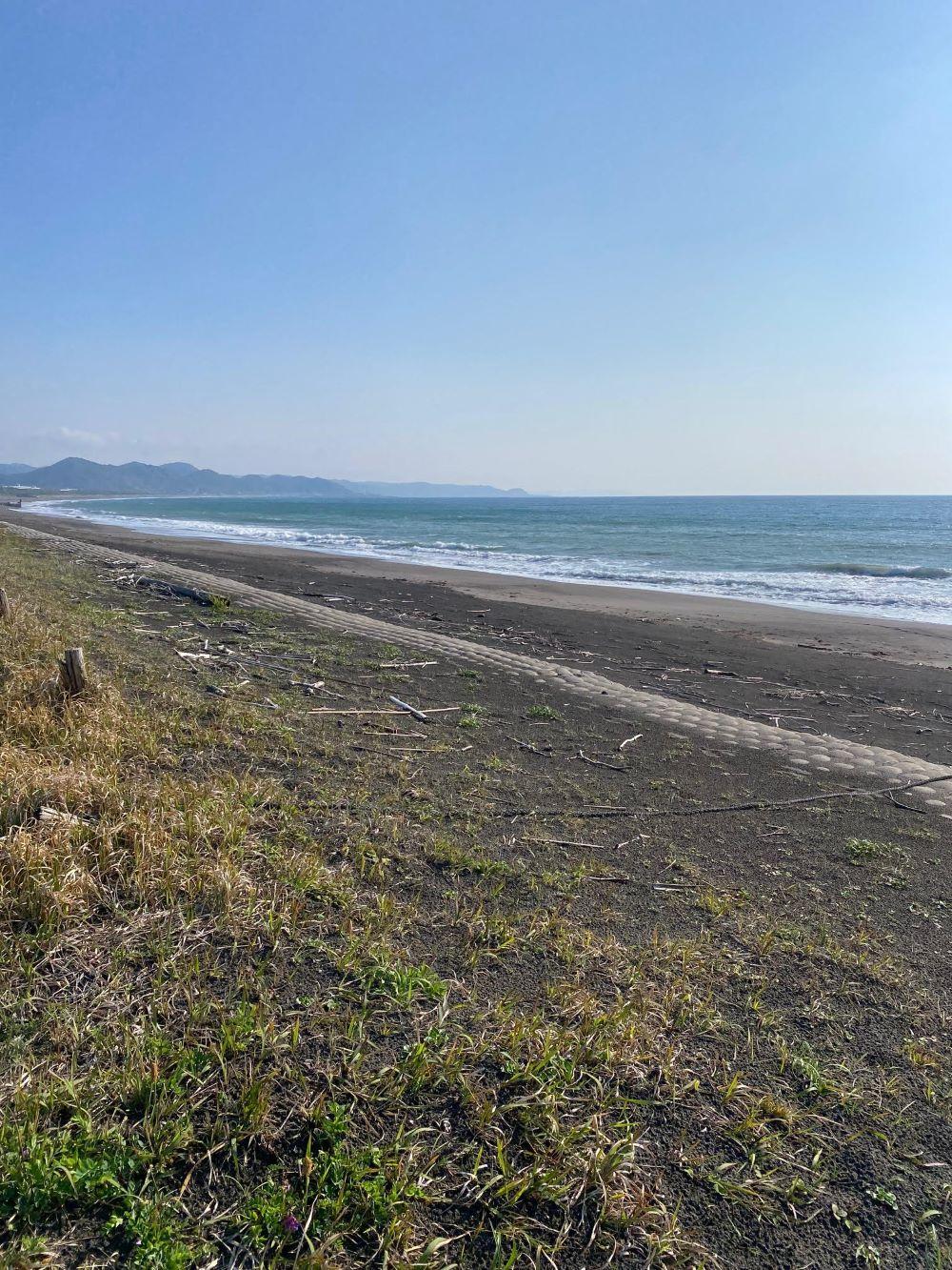 千葉県南房総市安馬谷の売買物件/千歳ポイント。海の青さが分かりますか？