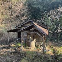 千葉県市原市山倉の売買物件/敷地北側にある井戸と小屋。井戸の屋根は架け替えましょう