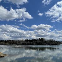 千葉県市原市山倉の売買物件/物件近くにある山倉ダムの様子。森の奥にはこどもの国が