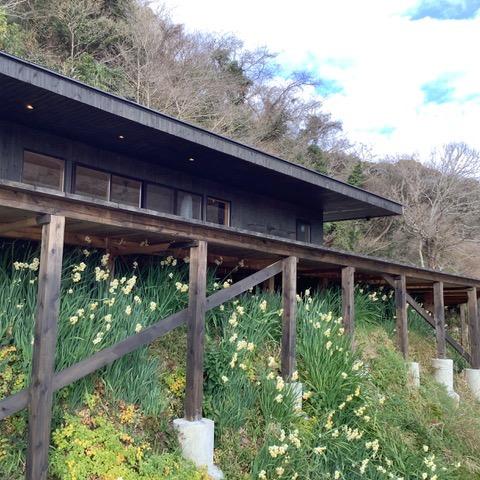 千葉県富津市竹岡の売買物件/冬の寒さが緩む頃、テラス下はスイセンの花が咲き乱れます