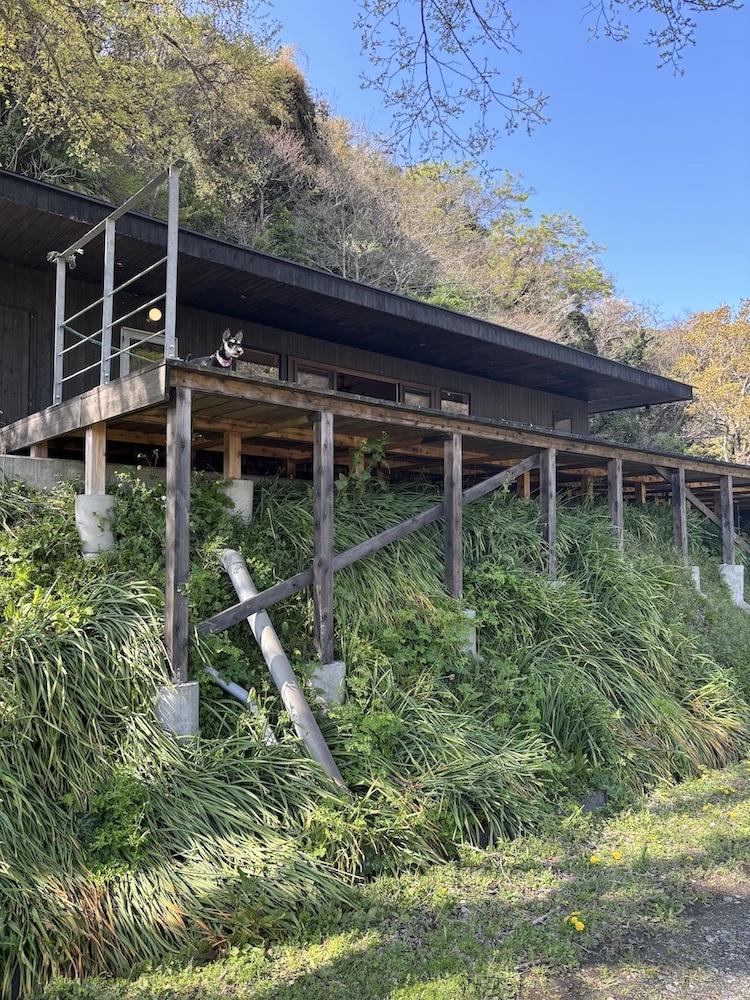 千葉県富津市竹岡の売買物件/物件敷地脇の道から母屋とテラスを見上げる。テラスは広く、舞台のよう