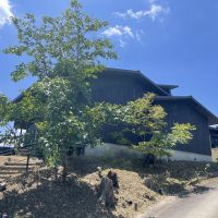 千葉県市原市山口の売買物件/北側のファサード。風に揺れるシンボルツリー