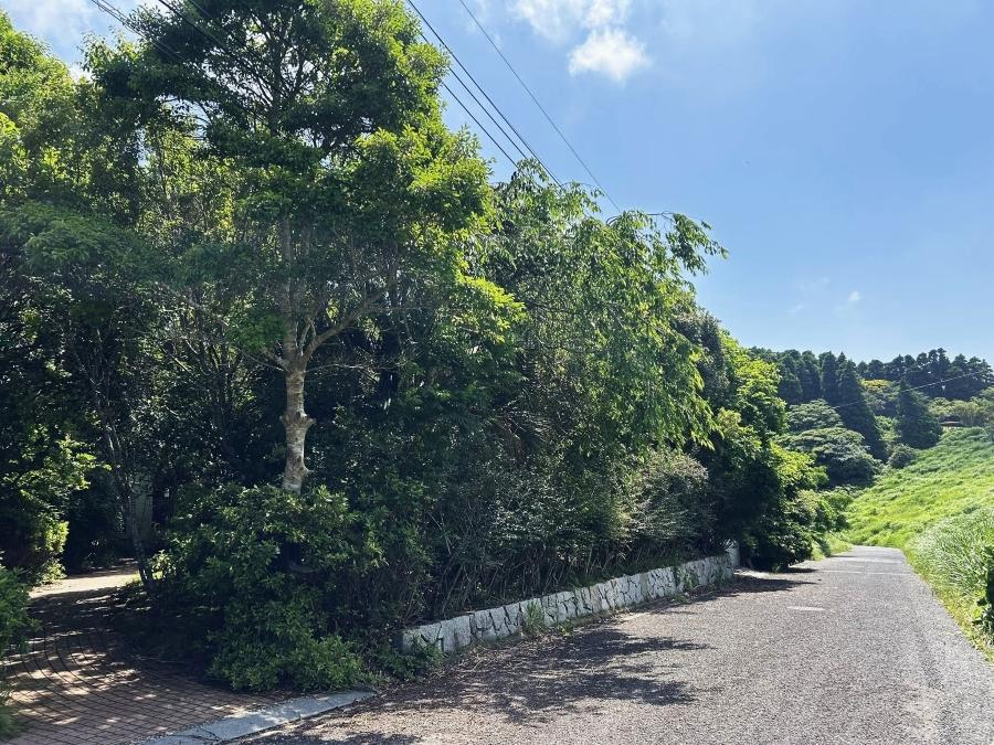 千葉県いすみ市大原台の売買物件/この先には堰があるだけ。