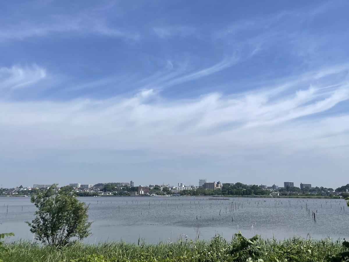 千葉県我孫子市白山の賃貸物件/沼越しに物件マンションを望む