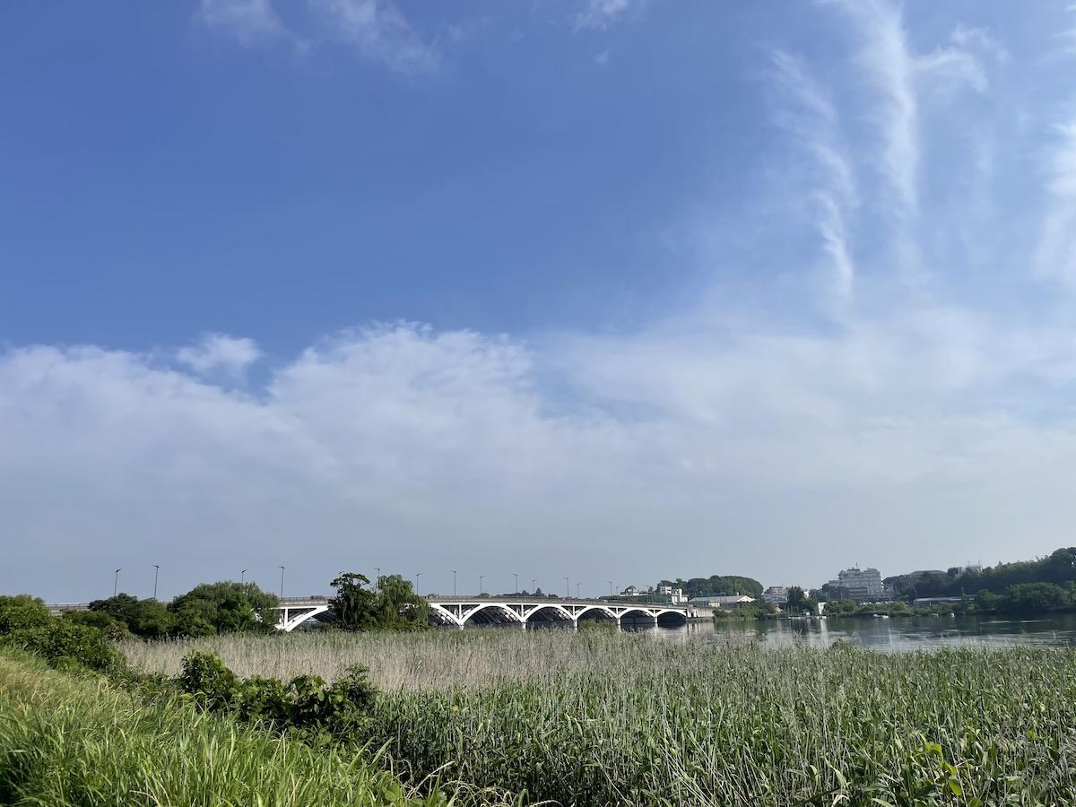 千葉県我孫子市白山の賃貸物件/サイクリングロード（東側）から手賀大橋を眺める。この周囲は水田が広がる