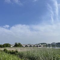 千葉県我孫子市白山の賃貸物件/サイクリングロード（東側）から手賀大橋を眺める。この周囲は水田が広がる