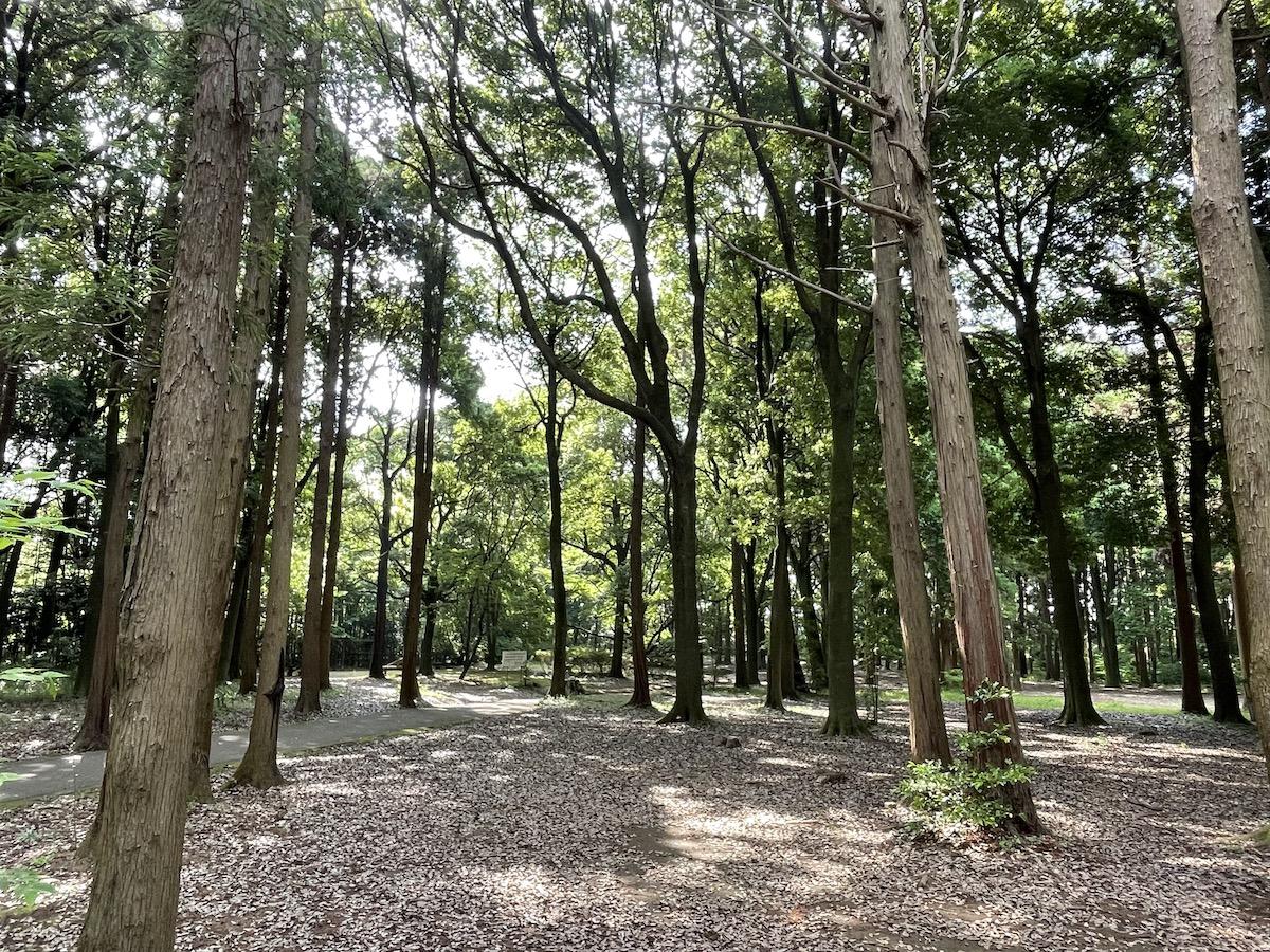千葉県我孫子市白山の賃貸物件/大小様々な公園のひとつ、五本松公園。ここではBBQも楽しめます