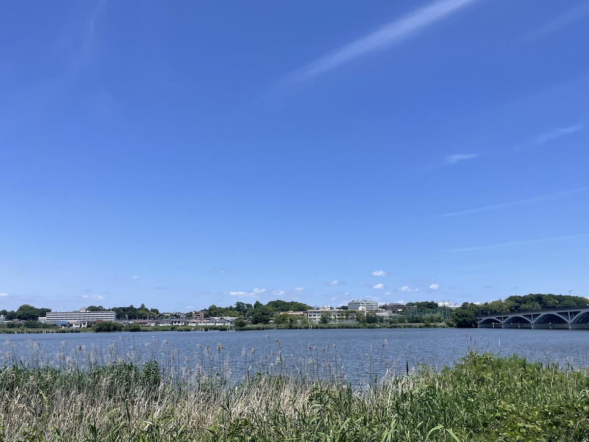 千葉県我孫子市白山の賃貸物件/サイクリングロード(西側)からの景色。長閑な風景がどこまでも続きます