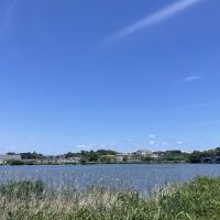 千葉県我孫子市白山の賃貸物件/サイクリングロード(西側)からの景色。長閑な風景がどこまでも続きます