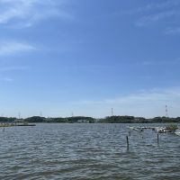 千葉県我孫子市白山の賃貸物件/手賀沼公園から見る手賀沼の風景。ボートエリアもあります