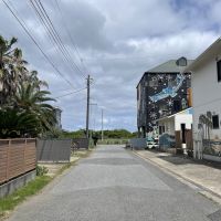 千葉県長生郡一宮町一宮の売買物件/山側から前面道路を眺める。防風林の向こうは九十九里の海