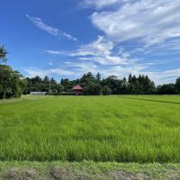 茂原市七渡の売買物件/横の田んぼが緑の時はさらに楽しみになりそうです。