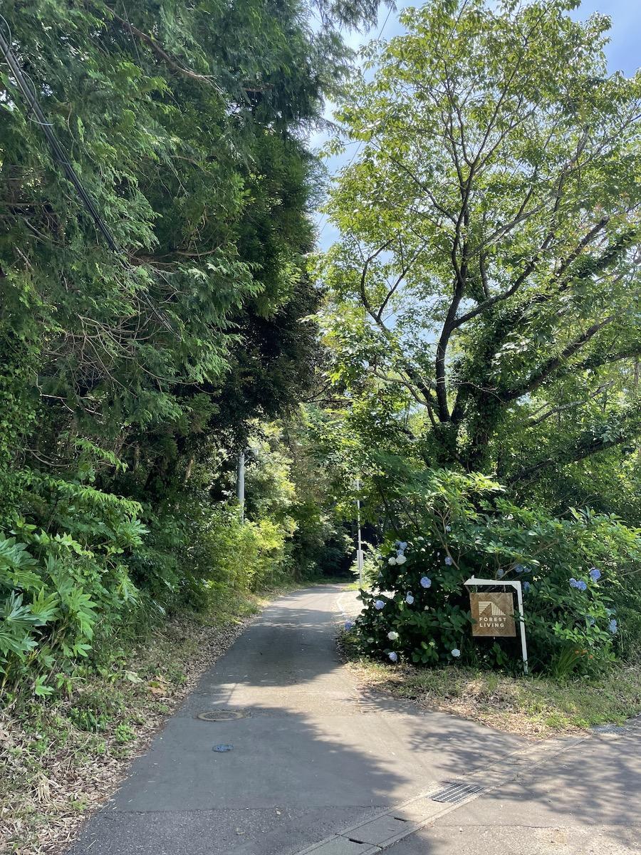 千葉県いすみ市岬町椎木の売買物件/ようこそフォレストリビングへ！素敵な看板がお出迎え