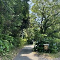 千葉県いすみ市岬町椎木の売買物件/ようこそフォレストリビングへ！素敵な看板がお出迎え