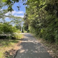 千葉県いすみ市岬町椎木の売買物件/物件前面道路(北東側)の様子