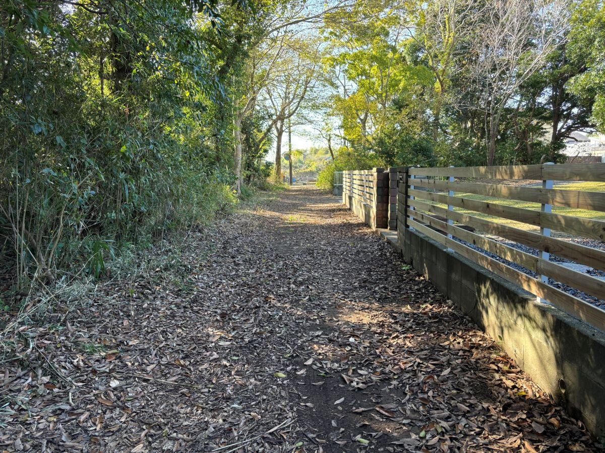 大網白里市細草の売買物件/物件からヤギ牧場方面を。前面道路はコンクリート舗装なしで土の地面に落ち葉が敷かれています