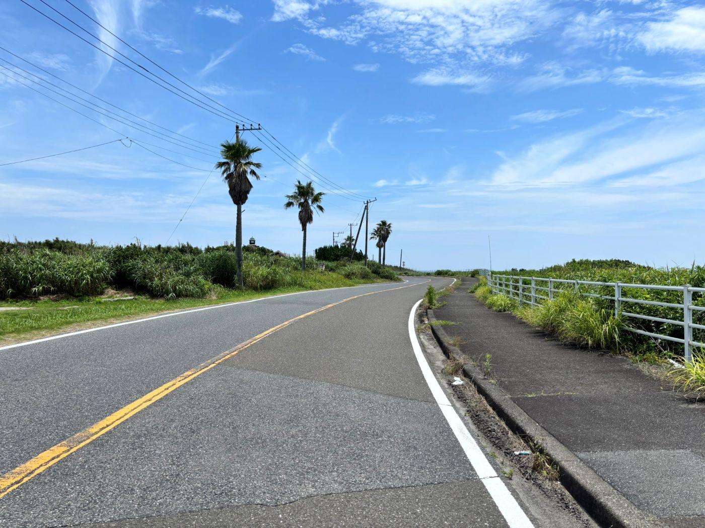 千葉県南房総市白浜の売買物件/穏やかなカーブが続く前面道路。サイクリングで人気のルート