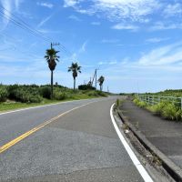 千葉県南房総市白浜の売買物件/穏やかなカーブが続く前面道路。サイクリングで人気のルート