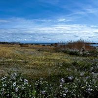 千葉県南房総市白浜の売買物件/磯笛公園（物件から自転車で8分）の景色。