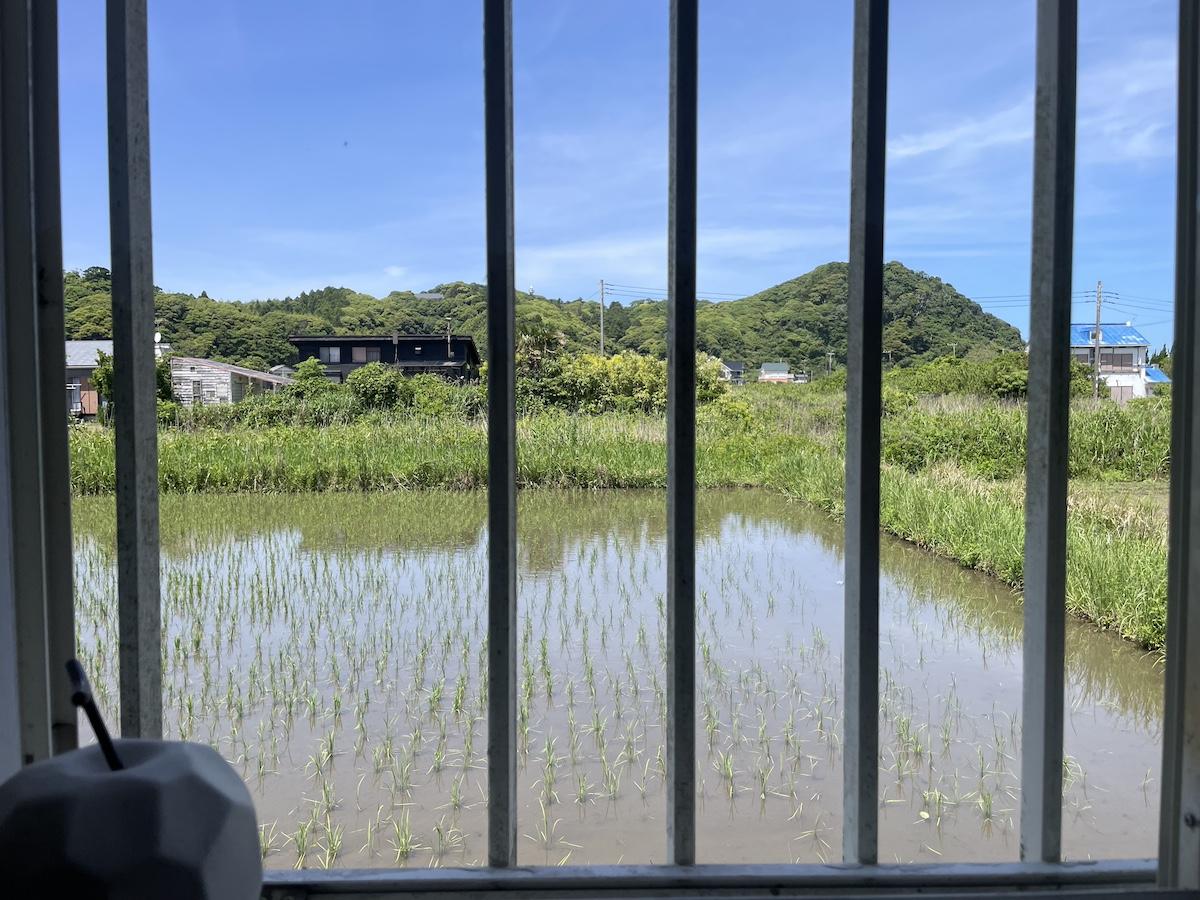 いすみ市岬町和泉の売買物件/洗面台の窓を開ければ