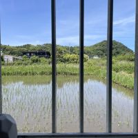 いすみ市岬町和泉の売買物件/洗面台の窓を開ければ