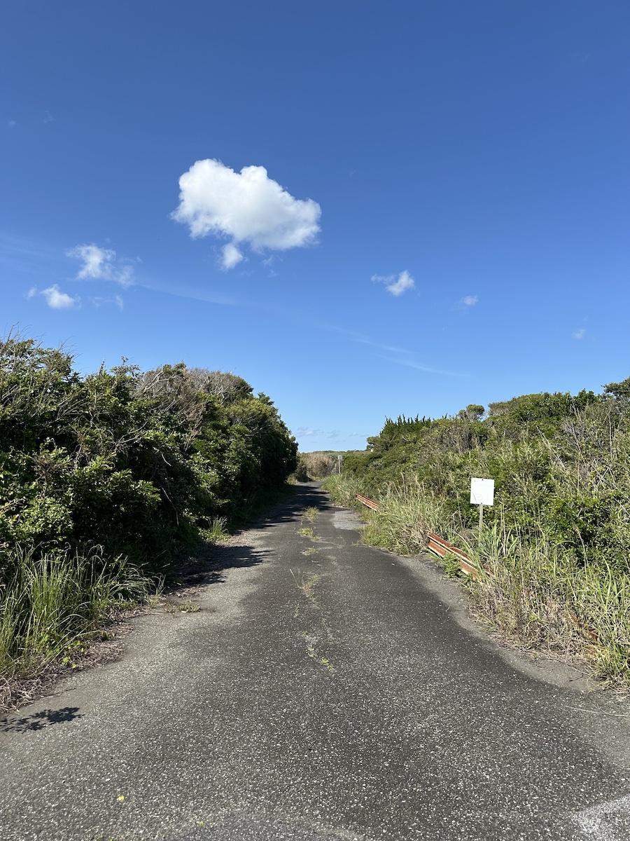 千葉県館山市佐野の売買物件/敷地南東側の接道の様子