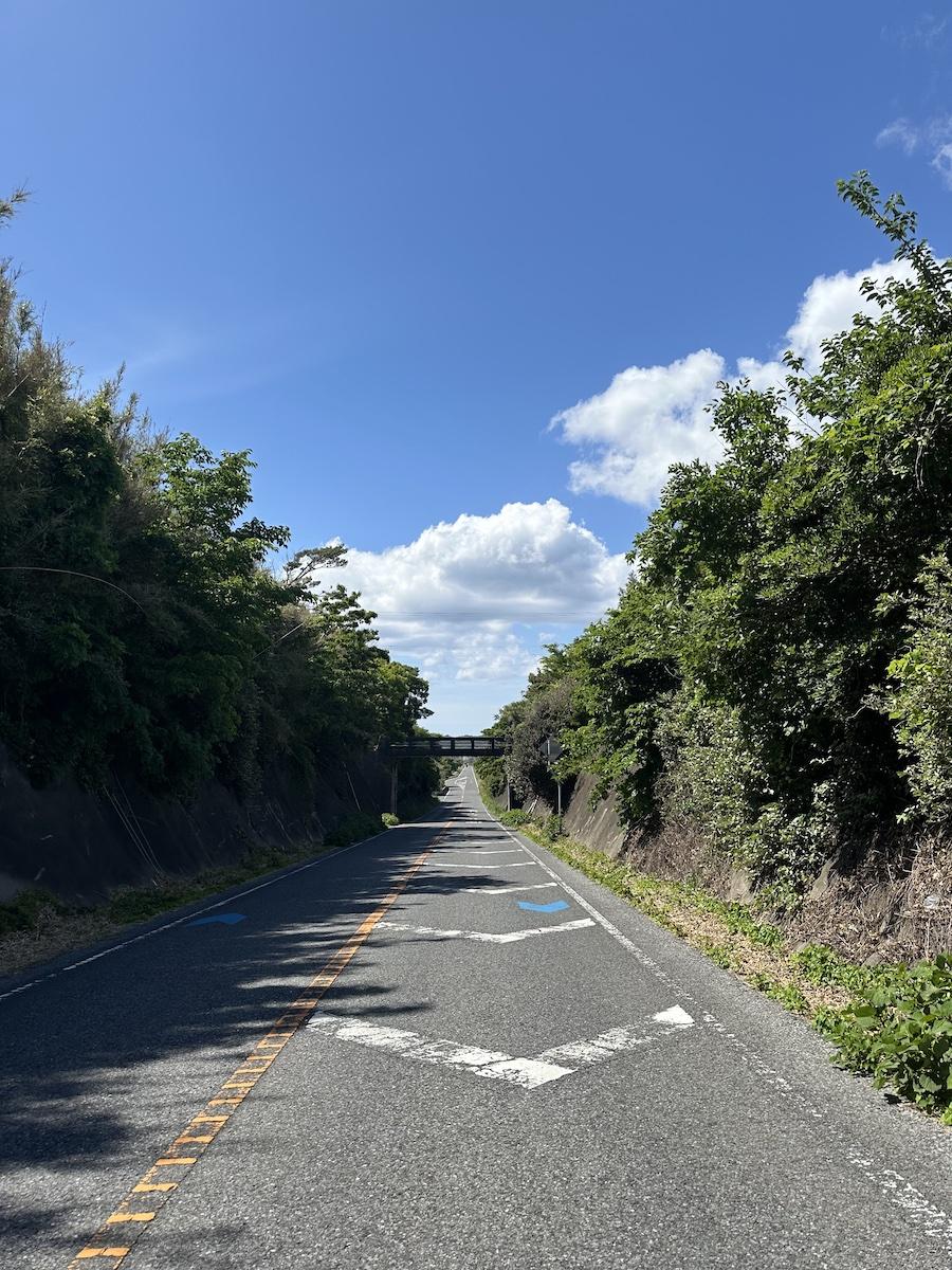 千葉県館山市佐野の売買物件/物件へと続く道。まっすぐで印象的