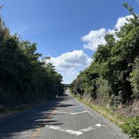 千葉県館山市佐野の売買物件/物件へと続く道。まっすぐで印象的