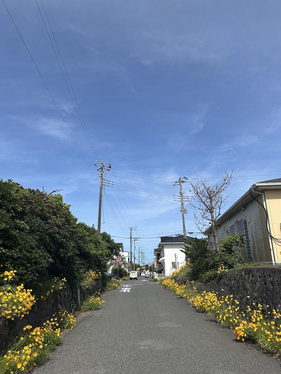 千葉県長生郡一宮町東浪見の売買物件/物件入口(北側)前面道路の様子