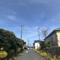 千葉県長生郡一宮町東浪見の売買物件/物件入口(北側)前面道路の様子